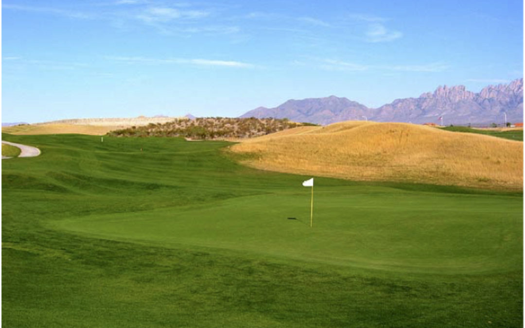 Golf Travel