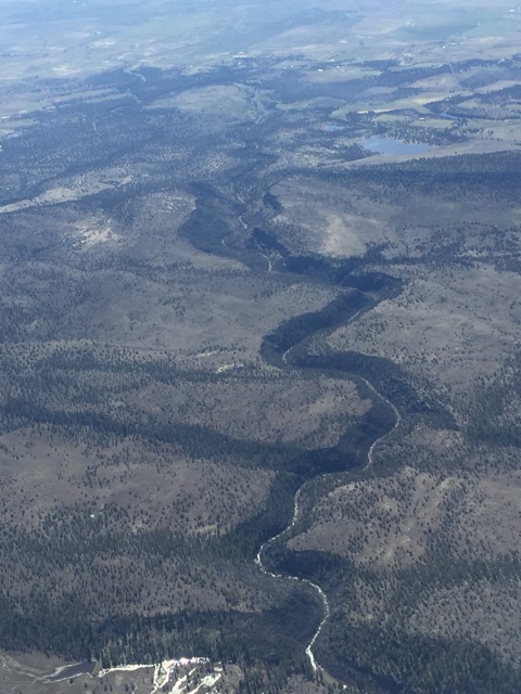 I wonder if there are any trout down there?
